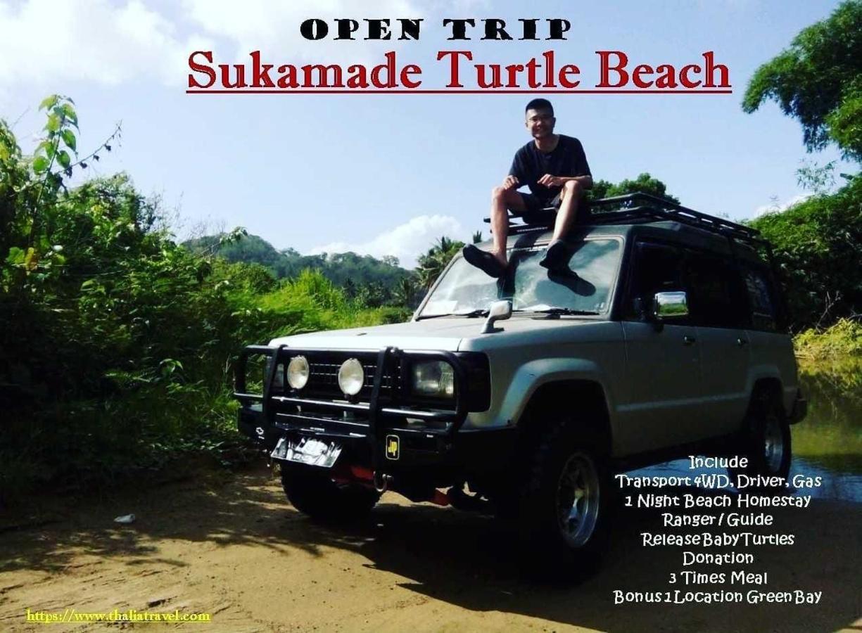 Thalia Homestay & Ijen Bromo Tour Banyuwangi  Εξωτερικό φωτογραφία