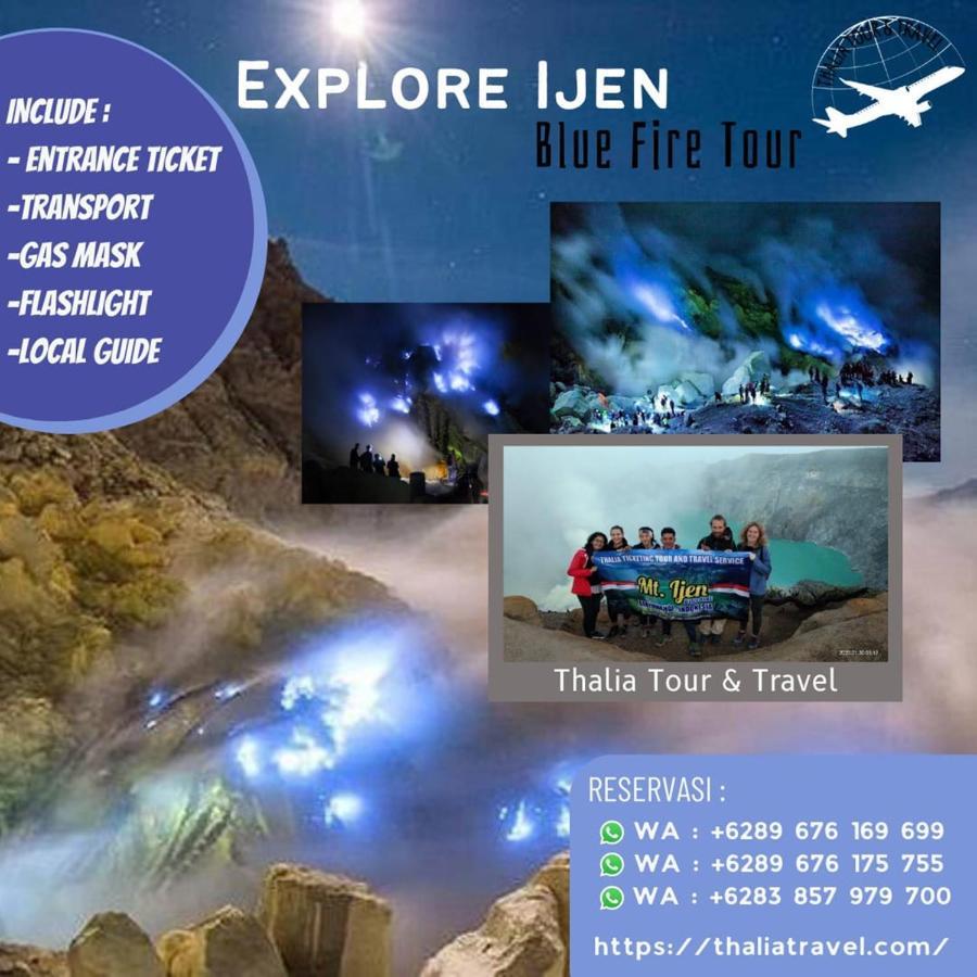 Thalia Homestay & Ijen Bromo Tour Banyuwangi  Εξωτερικό φωτογραφία