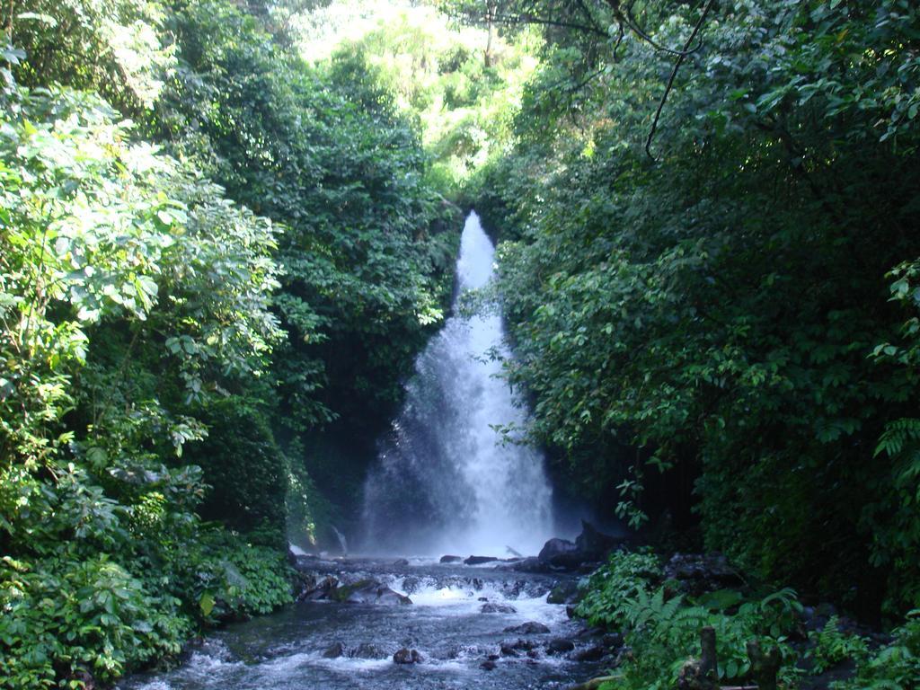 Thalia Homestay & Ijen Bromo Tour Banyuwangi  Εξωτερικό φωτογραφία