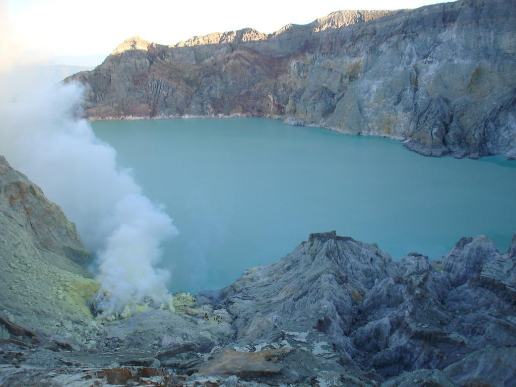 Thalia Homestay & Ijen Bromo Tour Banyuwangi  Εξωτερικό φωτογραφία