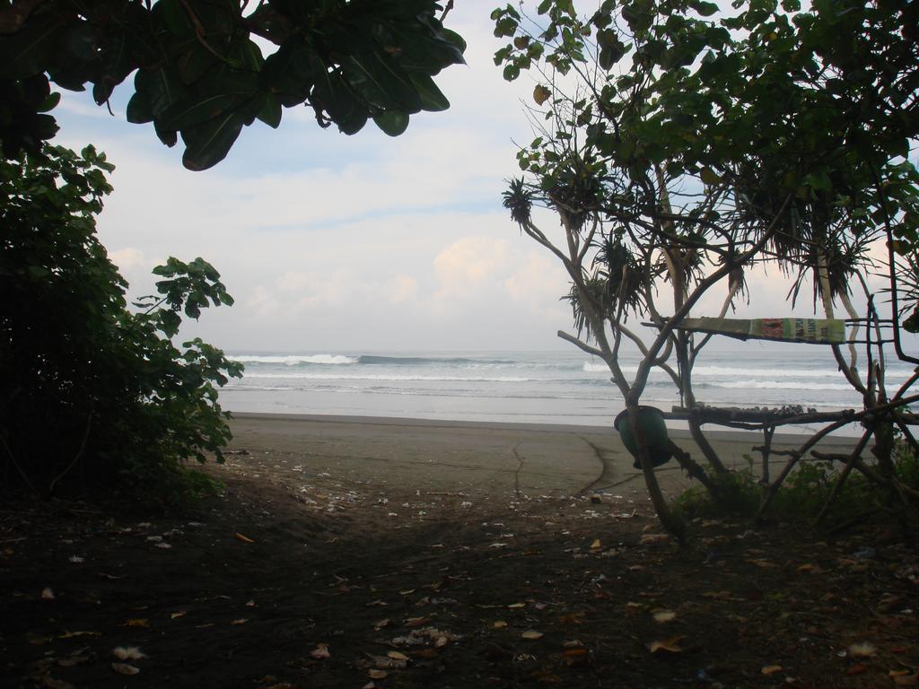 Thalia Homestay & Ijen Bromo Tour Banyuwangi  Εξωτερικό φωτογραφία