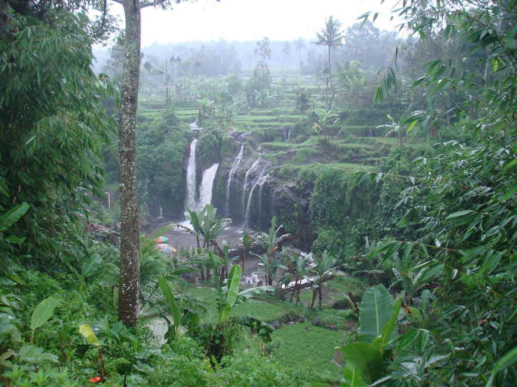 Thalia Homestay & Ijen Bromo Tour Banyuwangi  Εξωτερικό φωτογραφία
