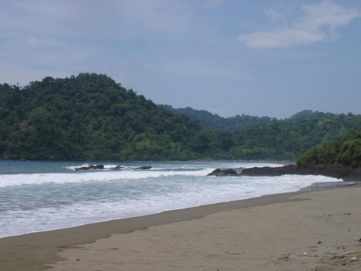 Thalia Homestay & Ijen Bromo Tour Banyuwangi  Εξωτερικό φωτογραφία