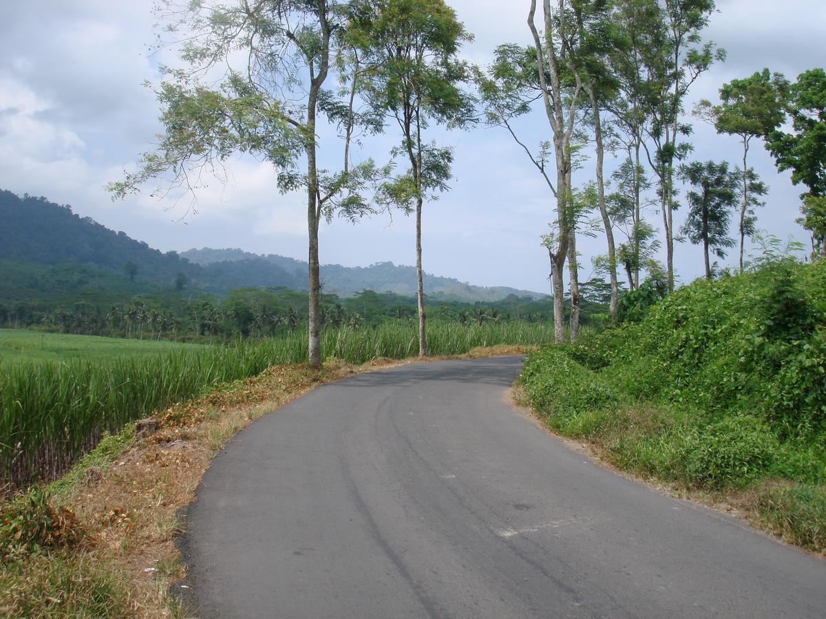 Thalia Homestay & Ijen Bromo Tour Banyuwangi  Εξωτερικό φωτογραφία