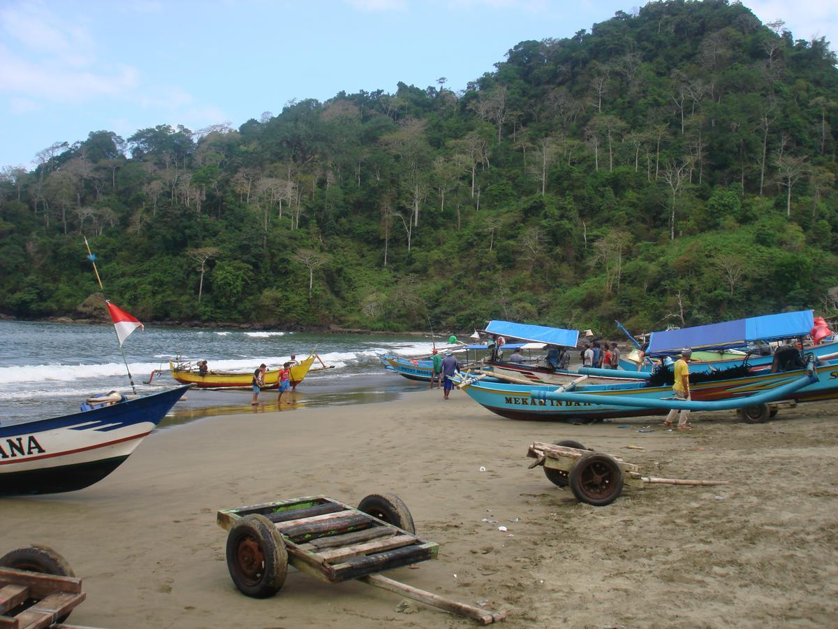 Thalia Homestay & Ijen Bromo Tour Banyuwangi  Εξωτερικό φωτογραφία