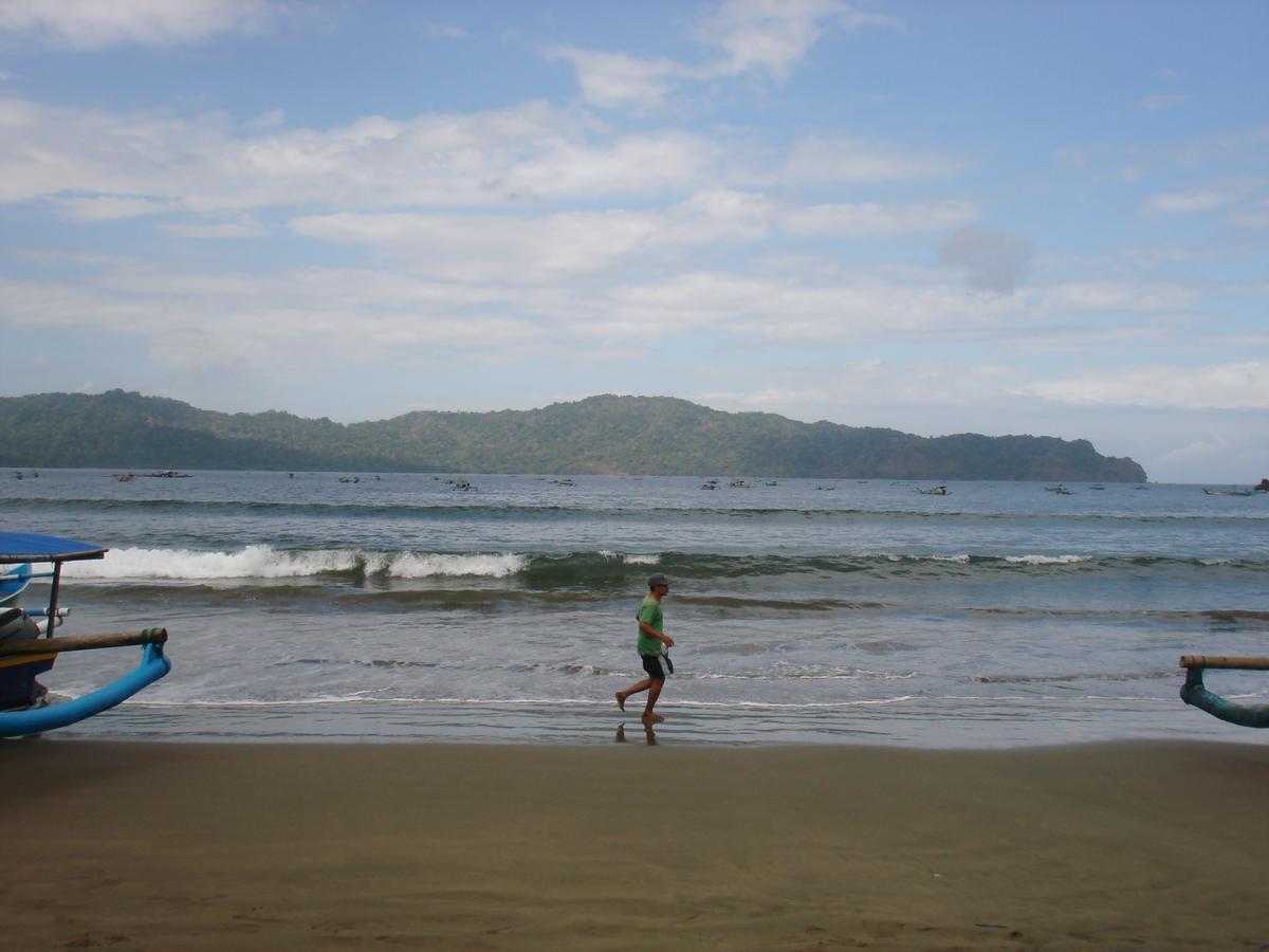 Thalia Homestay & Ijen Bromo Tour Banyuwangi  Εξωτερικό φωτογραφία