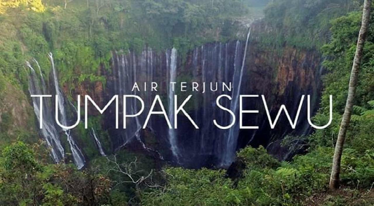 Thalia Homestay & Ijen Bromo Tour Banyuwangi  Εξωτερικό φωτογραφία